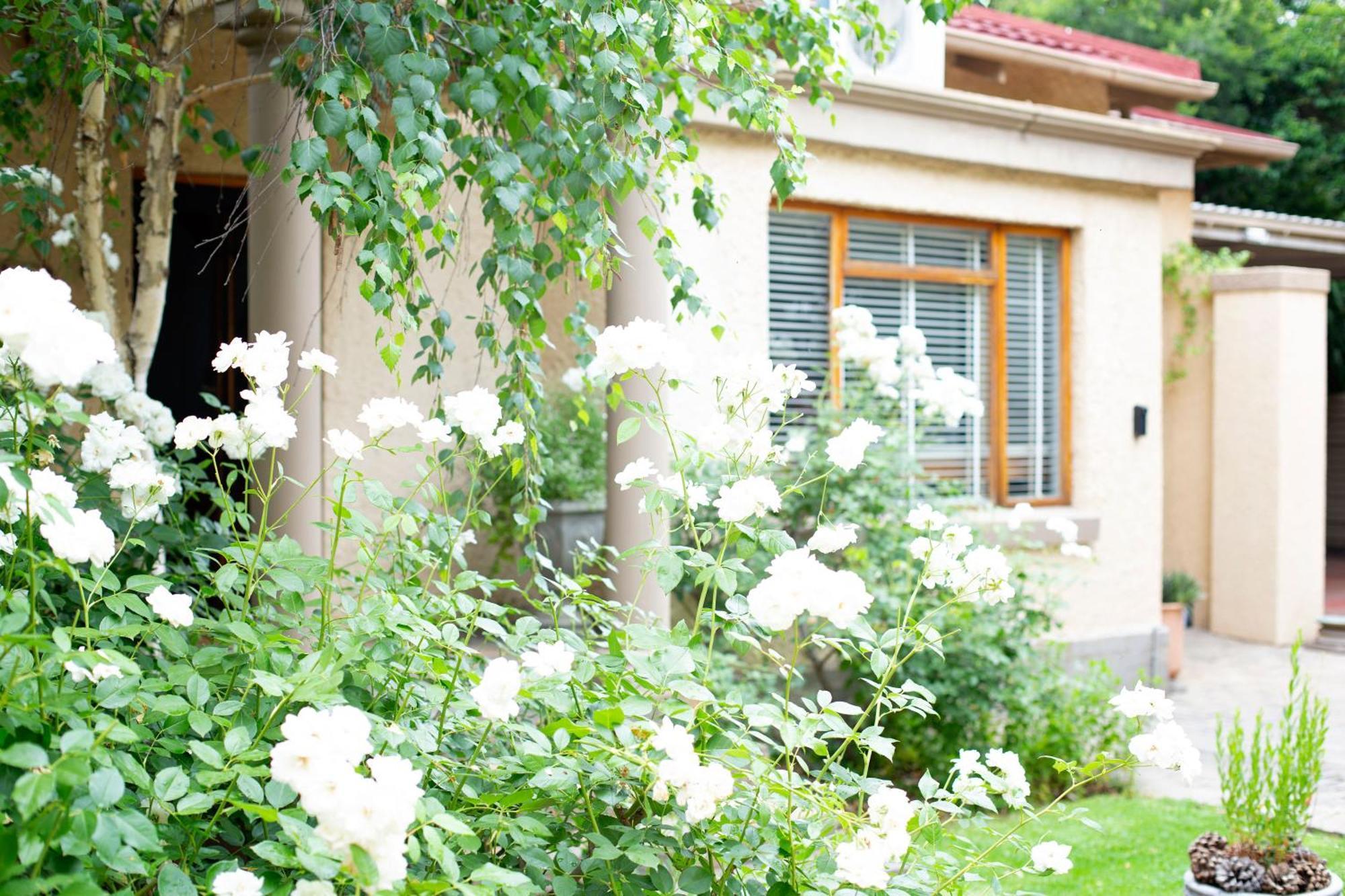 Crisp Guest Rooms Bloemfontein Buitenkant foto